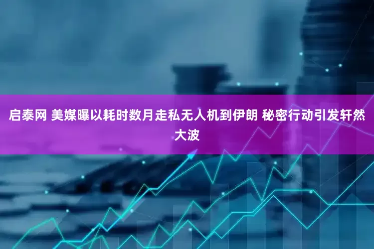 启泰网 美媒曝以耗时数月走私无人机到伊朗 秘密行动引发轩然大波